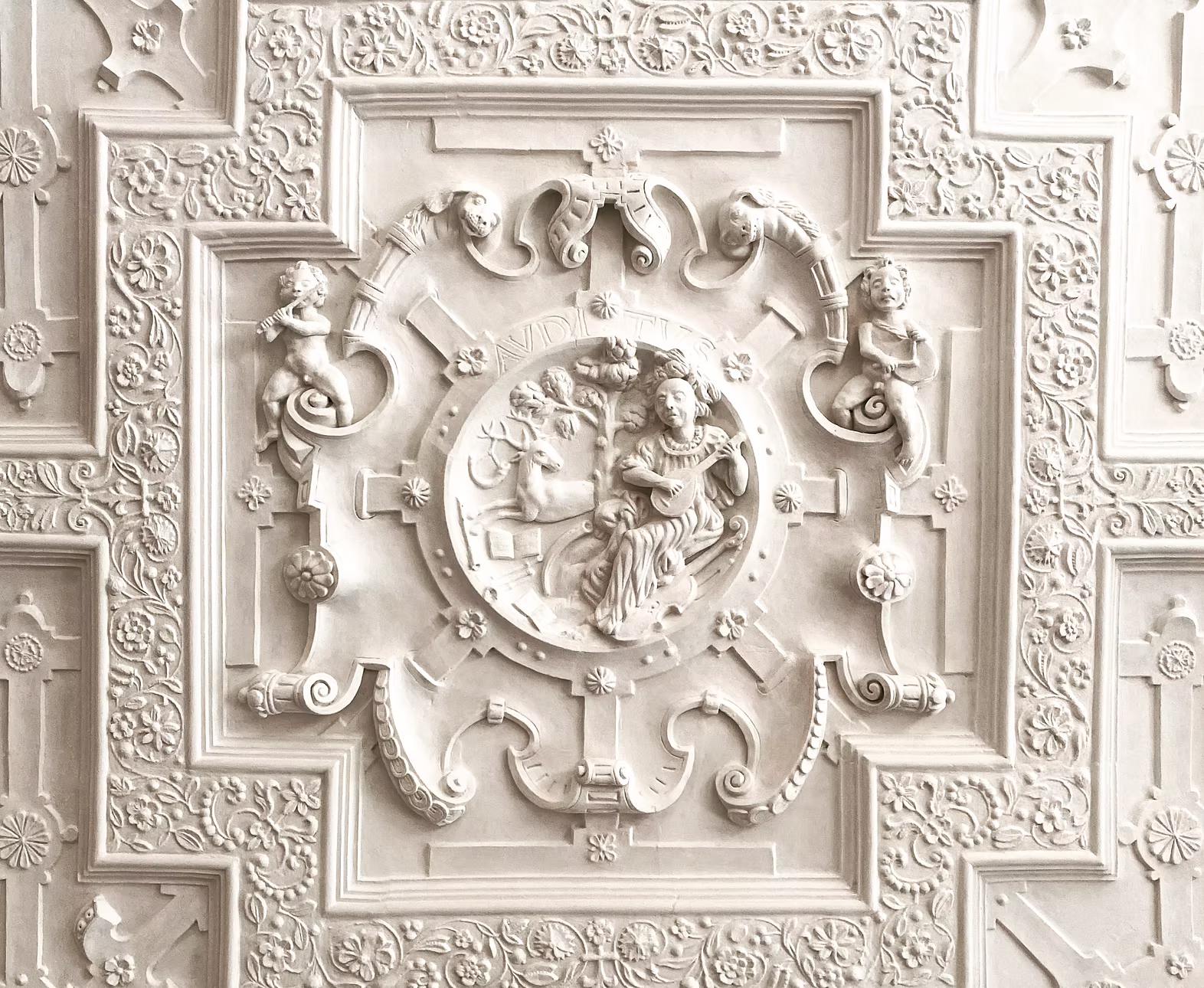 Charles Cooper Project 6